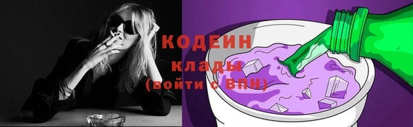 дмт Дмитров