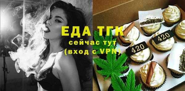 дмт Дмитров