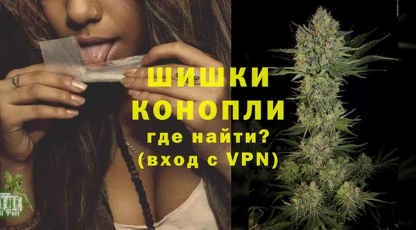 дмт Дмитров