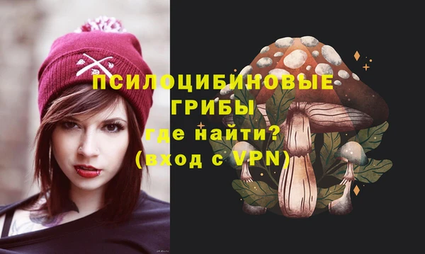 дмт Дмитров