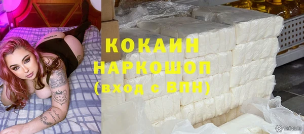 спайс Гусев