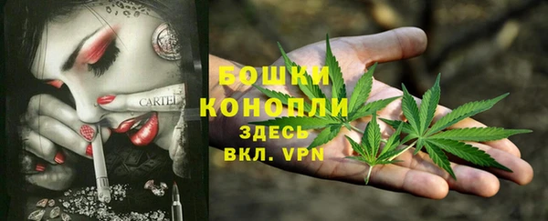 дмт Дмитров