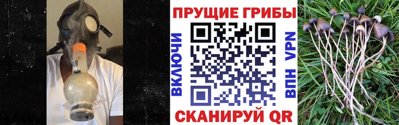 наркошоп  Княгинино  гидра зеркало  Псилоцибиновые грибы прущие грибы 
