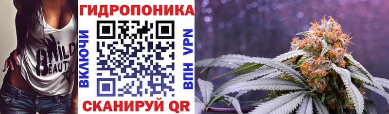 Бошки Шишки семена Княгинино